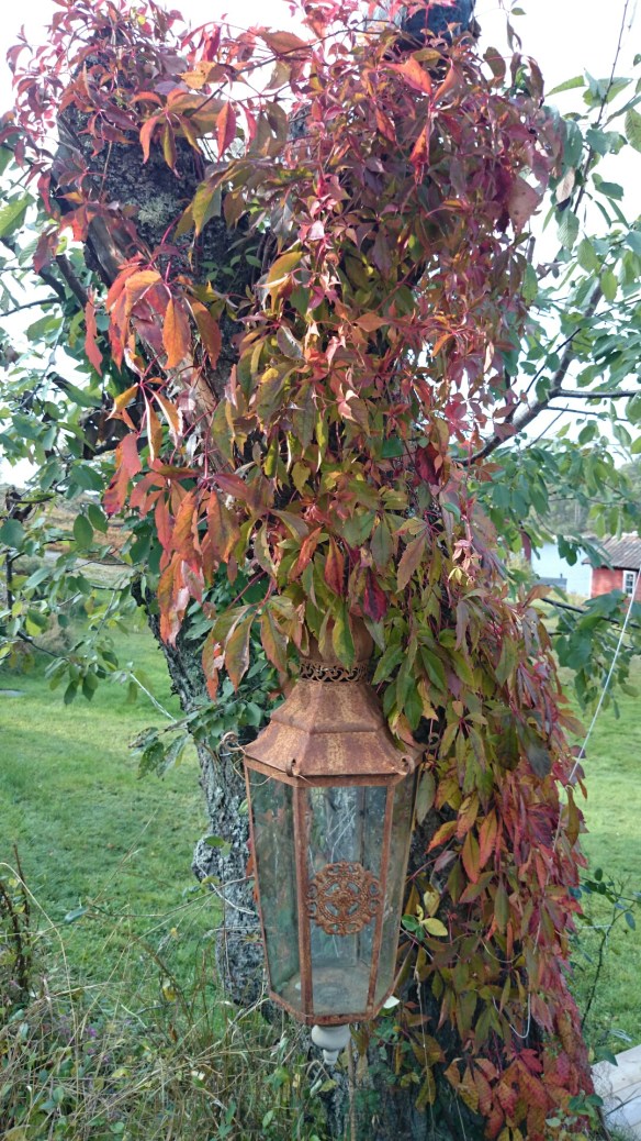 wpid-wp-1412422560412