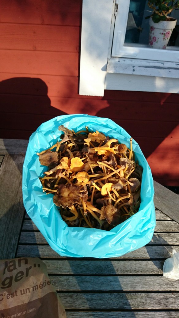 wpid-wp-1413035230753