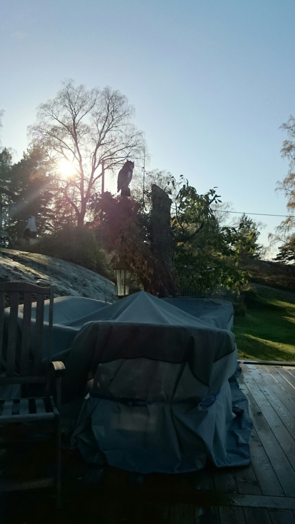 wpid-wp-1413035374740