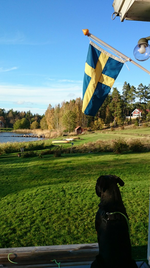 wpid-wp-1413035391822