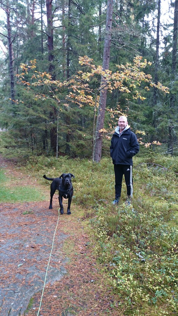 wpid-wp-1413738104713