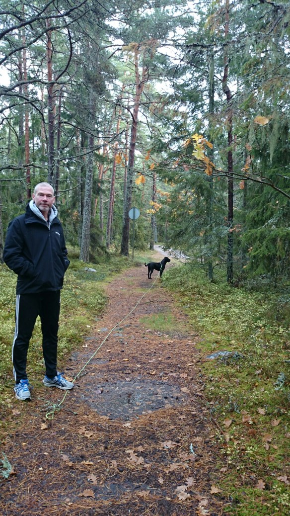 wpid-wp-1413738195974