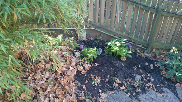 wpid-wp-1414746199340