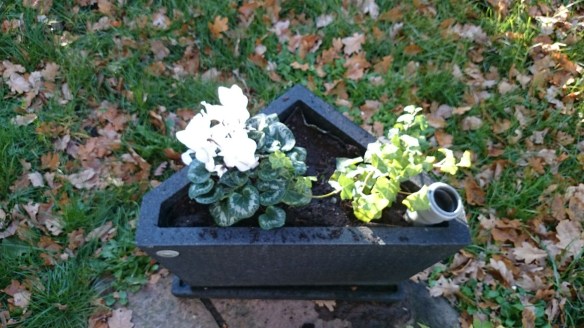 wpid-wp-1414746304323