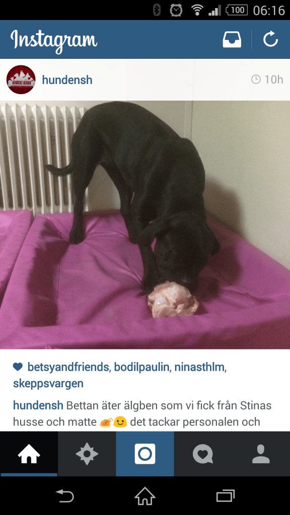 wpid-screenshot_2014-11-04-06-16-03-576x1024