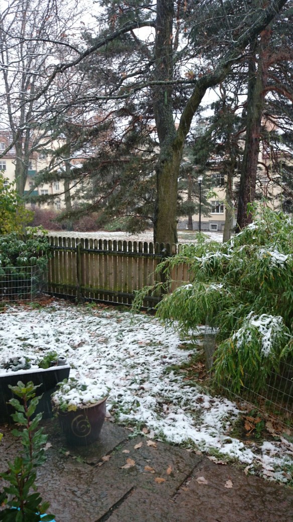 wpid-wp-1415369962614