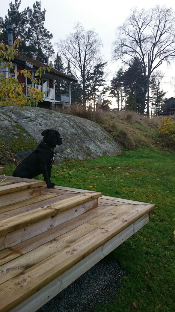 wpid-wp-1415476101378