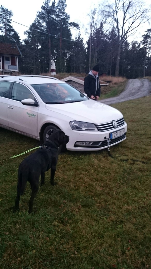 wpid-wp-1415476635391