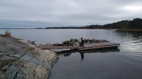 wpid-wp-1415476699133