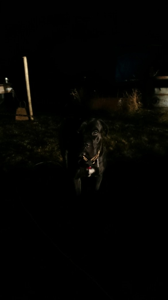 wpid-wp-1415477001479