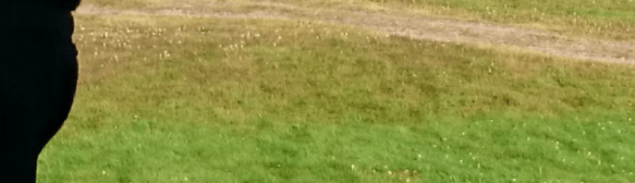 wpid-wp-1416389316517-1000x288