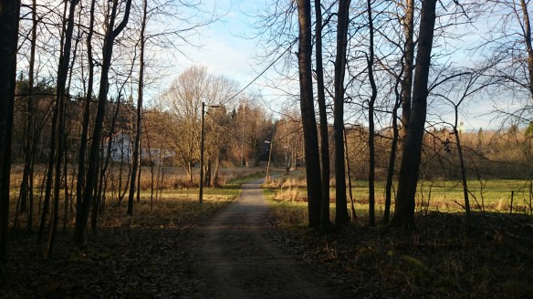 wpid-wp-1416750920213