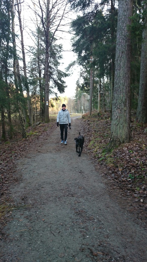 wpid-wp-1416751100159