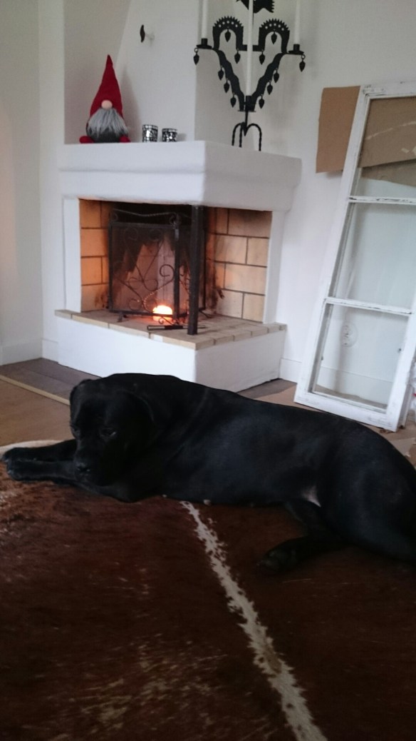 wpid-wp-1417353230707