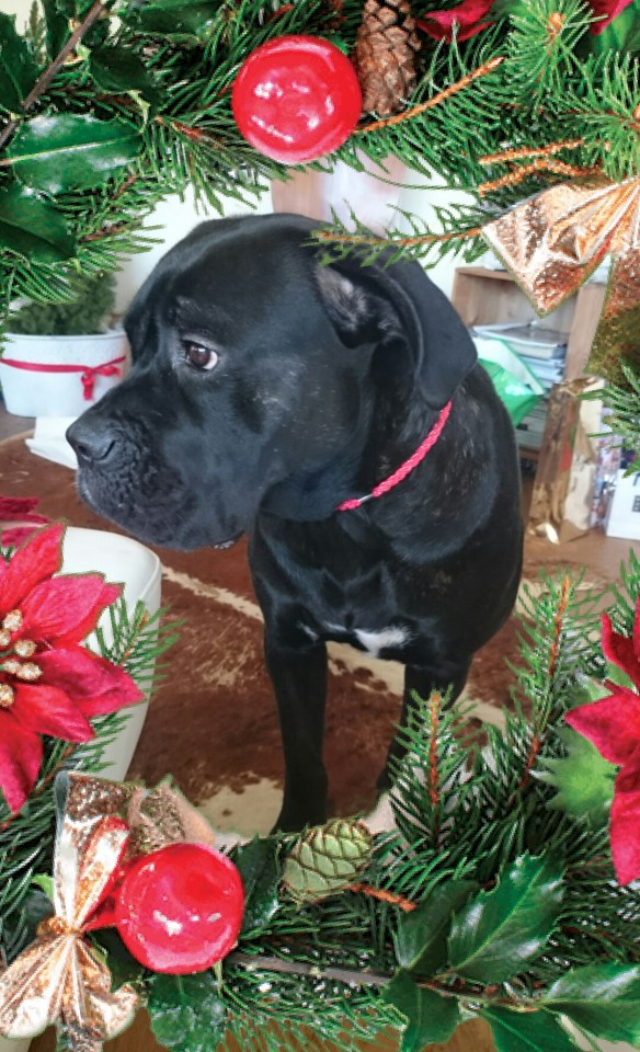 wpid-sketch-1419241103376