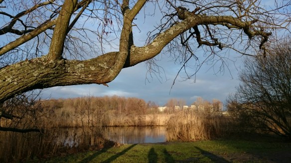 wpid-wp-1418389515011