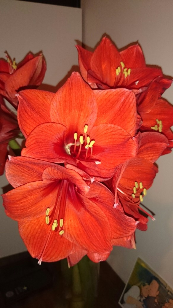 wpid-wp-1418389702156