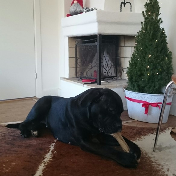 wpid-wp-1418553394348