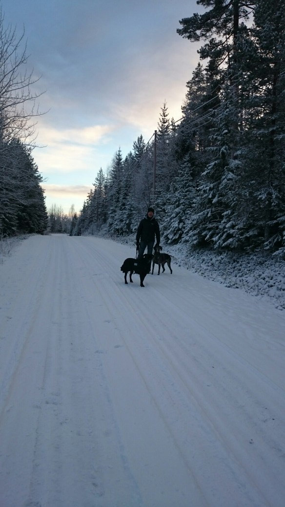 wpid-wp-1419346122361