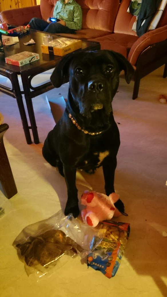 wpid-wp-1419496525574