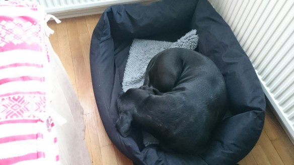 wpid-wp-1419843064783