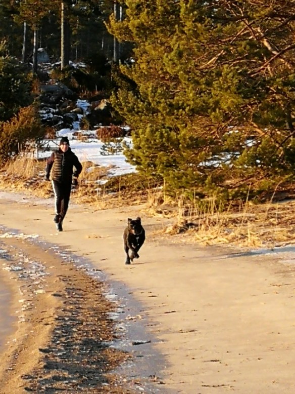 IMG_20171224_132449.jpg image