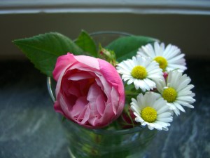 Så sött det kan vara med bara nåt litet..