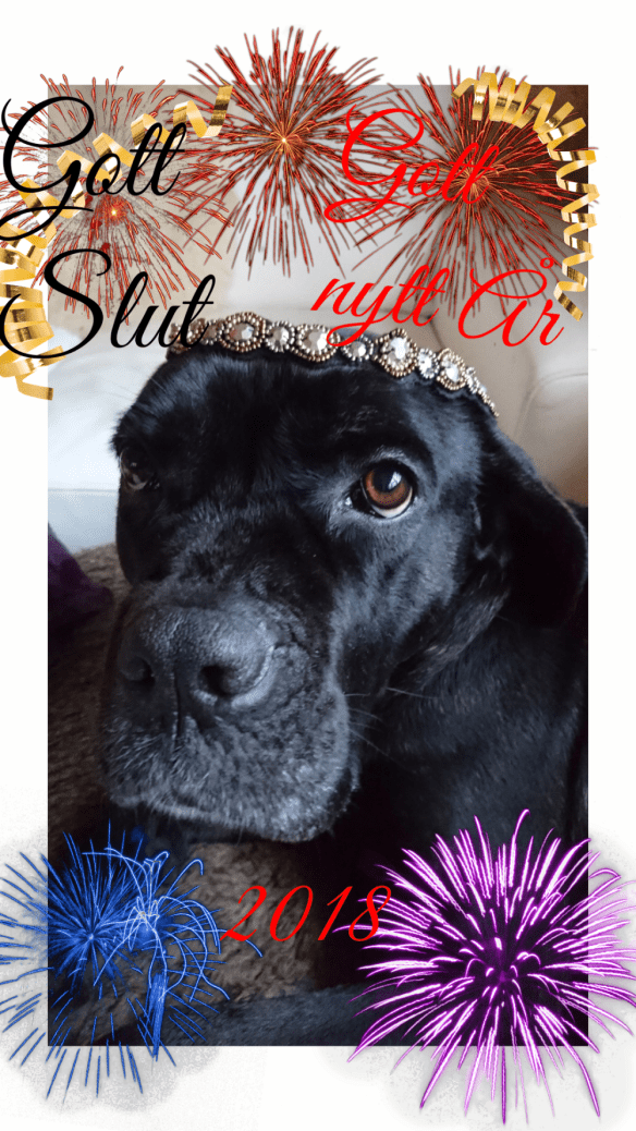 sketch-1514723074899.png image